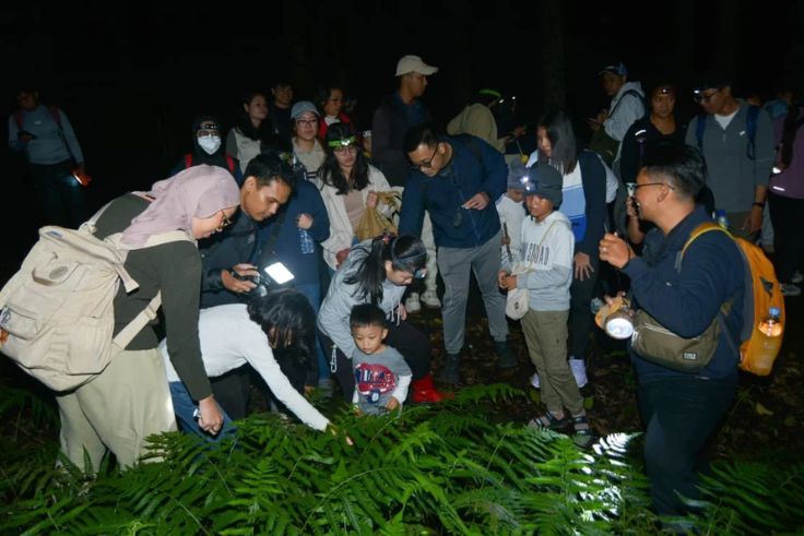 TABANAN, BNEWSID – In collaboration with Nusantara Wilderness, Bali Botanic Garden, also known as Bedugul Botanic Garden, held a biodiversity exploration activ…