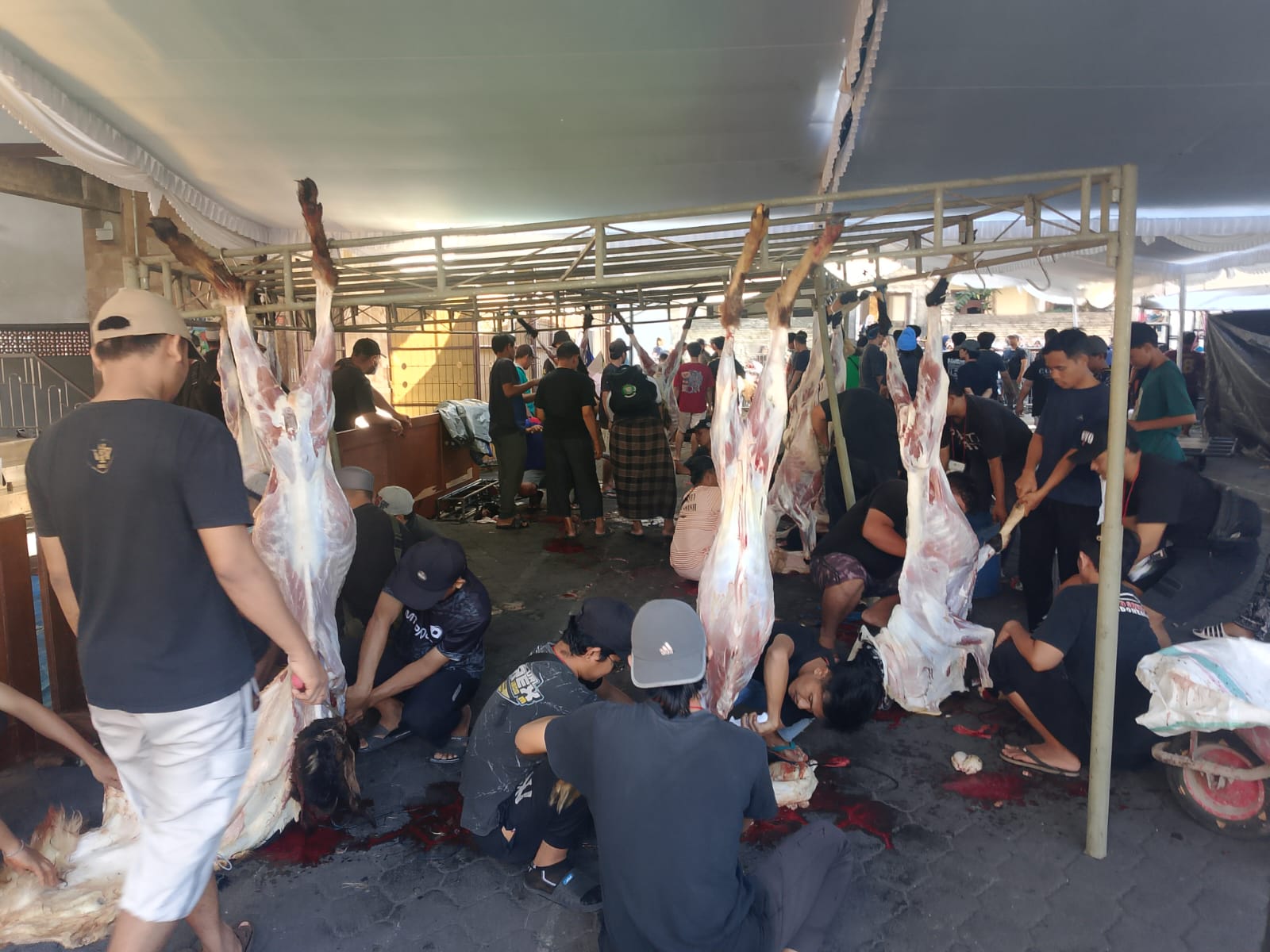 BALINEWSID.COM, DENPASAR – The Indonesian Islamic Da’wah Institute (LDII) of Bali distributed more than 10,000 qurban meat packages to communities across Bali …