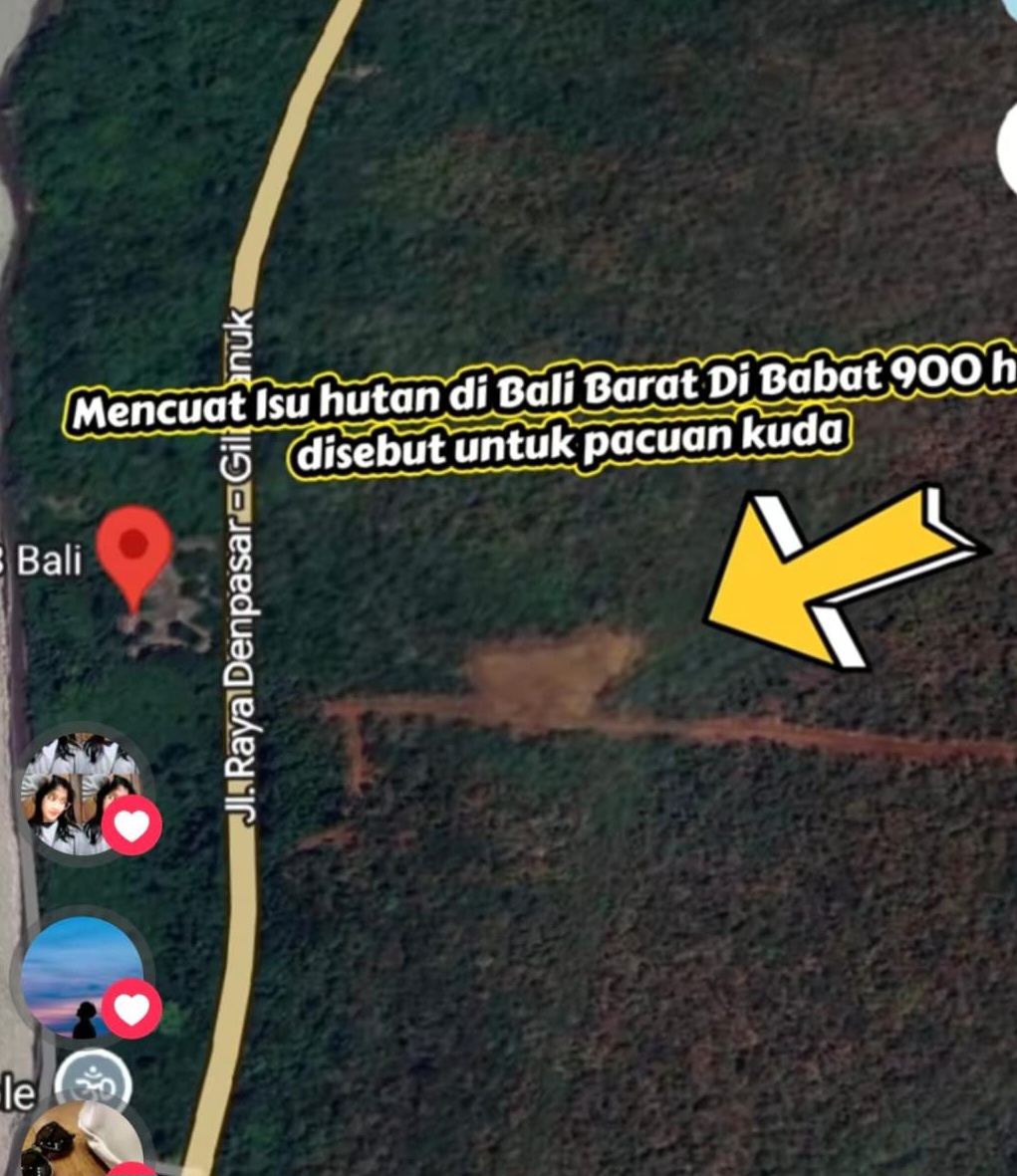 BALINEWSID.COM, DENPASAR – A forest area in Jembrana Regency that recently sparked public concern on social media over alleged deforestation has been identifie…