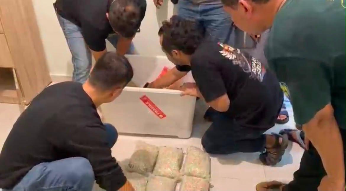 BALINEWSID.COM, PEKANBARU – Subdit I of the Riau Police Narcotics Investigation Directorate, in cooperation with the Kampar Police Narcotics Unit, has uncovere…
