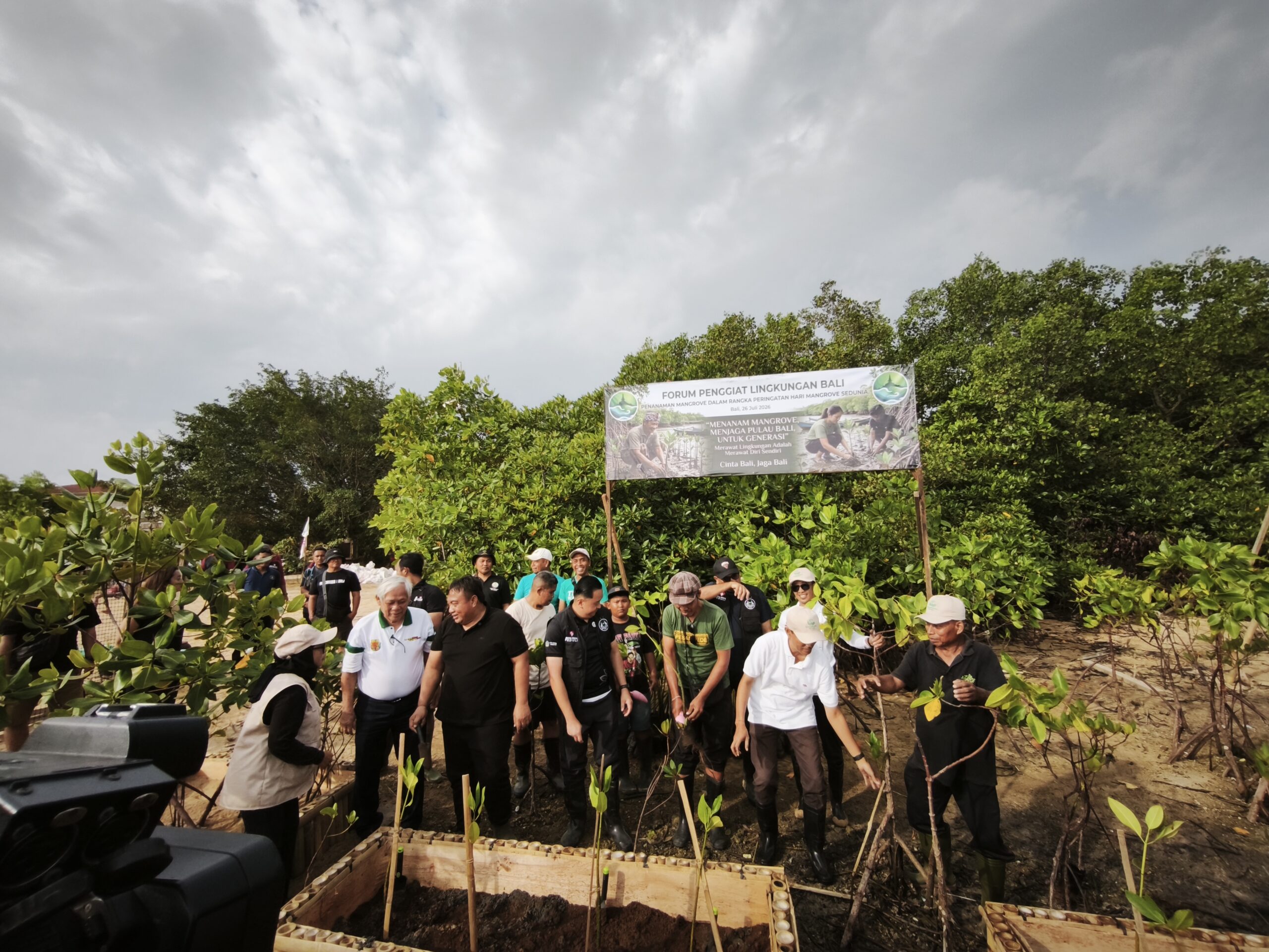 Bali Mangrove Conservation Efforts Gain Momentum as Communities Launch Replanting Drive