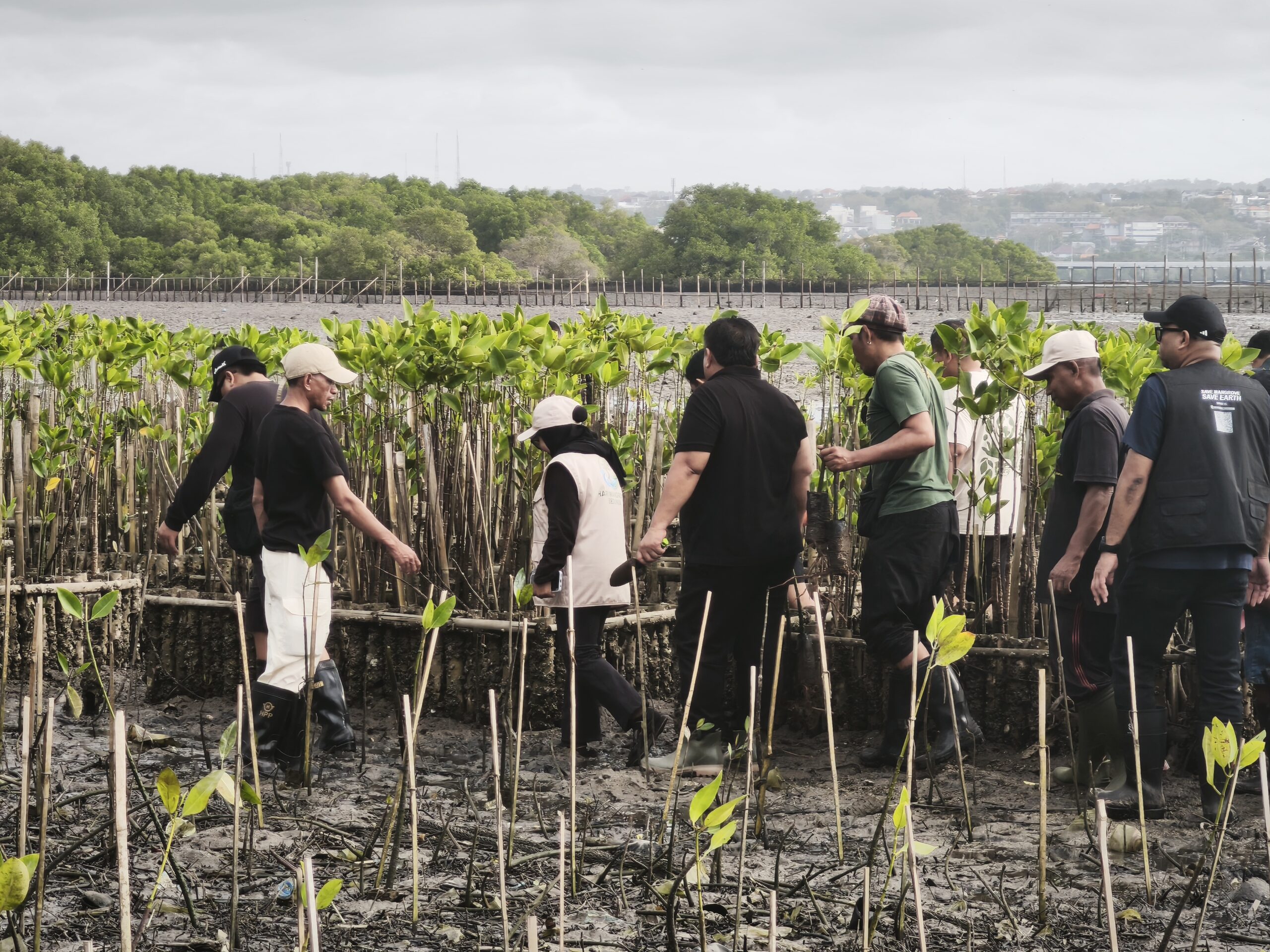 BALINEWSID.COM, BADUNG – The condition of Bali’s mangrove ecosystems has come under renewed scrutiny, with environmental activist Lanang Sudira warning that th…