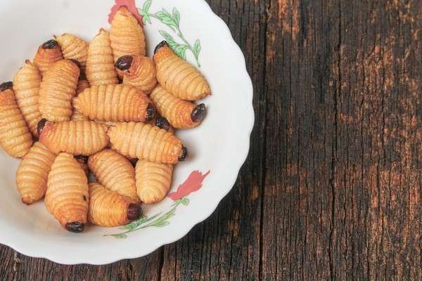 NASIONAL, Balinews.id - Belalang hingga ulat sagu kemungkinan bisa menjadi bagian dari menu Makan Bergizi Gratis (MBG) untuk memenuhi kebutuhan protein. Hal in…
