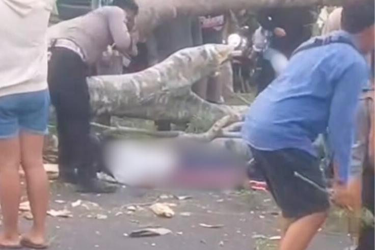 JEMBRANA, BALINEWS.ID - Seorang pelajar bernama Putu Esa Ananta Veda (16), warga Lingkungan Samiana, Kelurahan Gilimanuk, Kecamatan Melaya, Kabupaten Jembrana,…