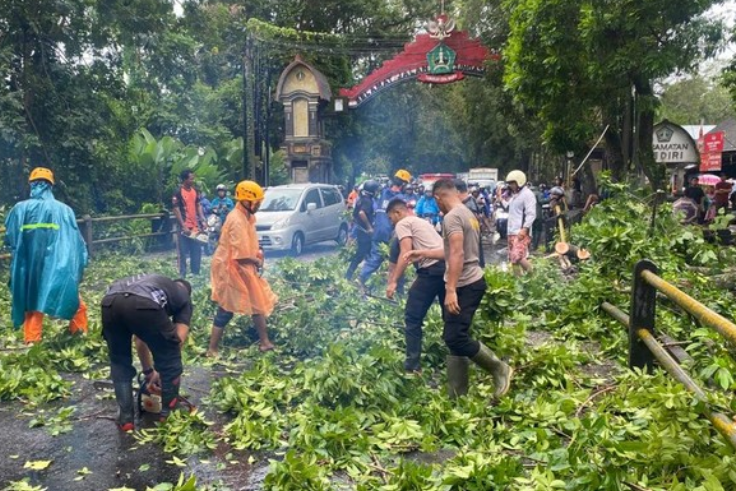 TABANAN, BALINEWS.ID - Cuaca ekstrem yang melanda Kabupaten Tabanan, Bali, pada Senin (10/2/2025) menyebabkan sejumlah peristiwa bencana alam, termasuk pohon t…