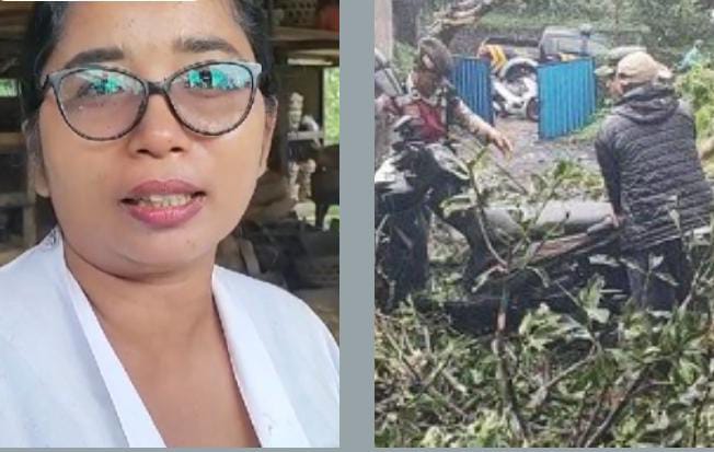 GIANYAR, BALINEWS.ID - Bencana alam pohon tumbang juga terjadi di areal Pura Samuan Tiga, Desa Bedulu, Kecamatan Blahbatuh, pada Minggu (9/2/2025) pukul 09.30 …