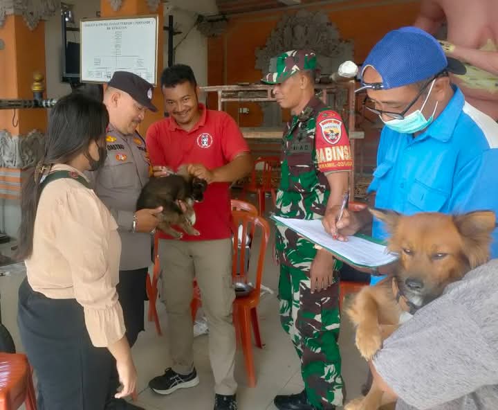 GIANYAR, BALINEWS.ID – Kasus anjing gila di Gianyar masih terus terjadi meskipun pemerintah telah berupaya menekan jumlahnya dengan vaksinasi. Baru-baru ini, s…