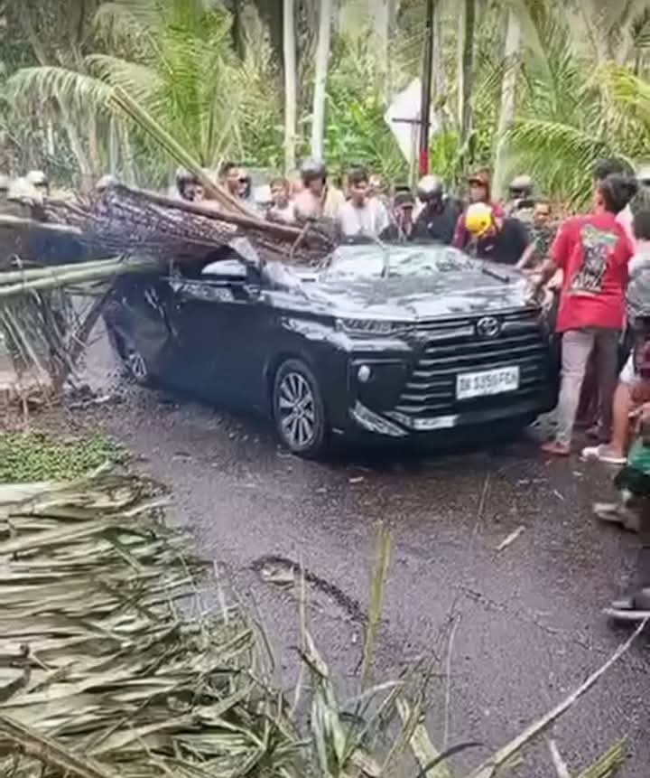 KARANGASEM, BALINEWS.ID - Sebuah mobil warna hitam yang mengangkut wisatawan tertimpa pohon tumbang saat melintasi Jalan Raya Samuh, Desa Manggis, Karangasem, …