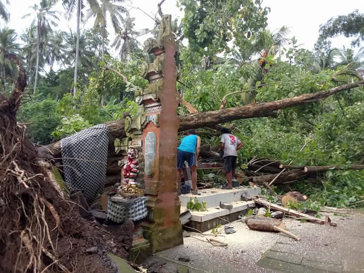 KARANGASEM, BALINEWS.ID - Upacara kremasi di Setra Desa Adat Sengkidu, Kecamatan Manggis, Karangasem, pada Sabtu (22/3/2025), bertambah pilu. Saat upacara berl…