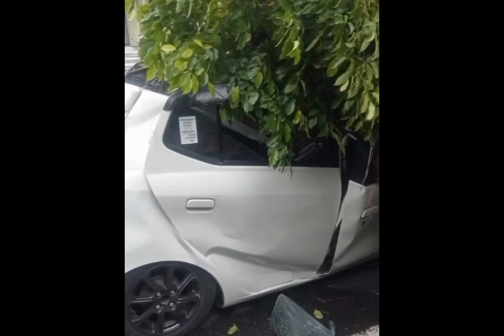 BADUNG, BALINEWS.ID – Sebuah pohon tumbang yang menimpa mobil di Jalan Raya Kuta, sebelah utara BCA, Kuta, Badung, pada Sabtu, 22 Maret 2025, menewaskan satu o…