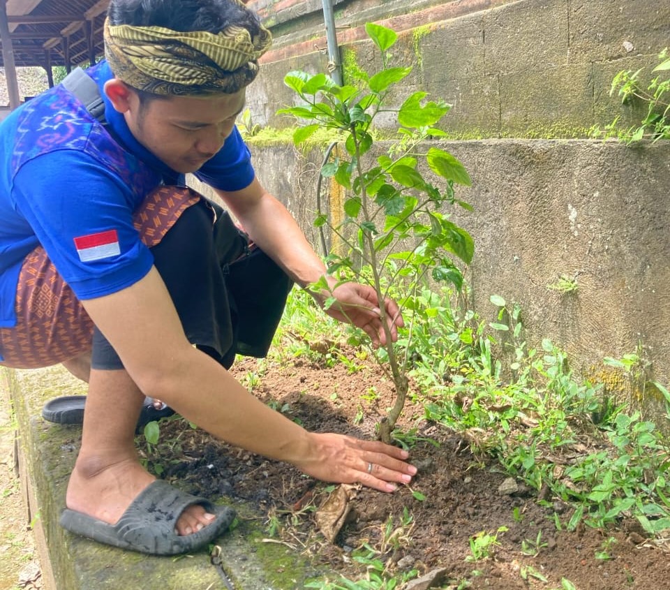 GIANYAR, BALINEWS.ID – Sebagai bentuk kepedulian terhadap lingkungan dan komitmen dalam pelestarian alam, Karang Taruna Kabupaten Gianyar melaksanakan penanama…