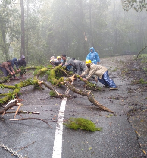 BANGLI, BALINEWS.ID – Bencana alam hujan disertai angin kencang juga menerpa Kabupaten Bangli pada Rabu (19/3/2025). Berdasarkan data dari BPBD Kabupaten Bangl…