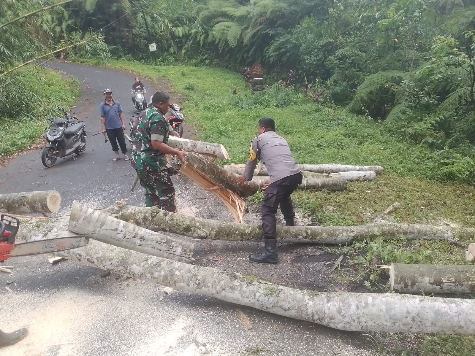 GIANYAR, BALINEWS.ID - Hujan deras disertai angin kencang mengguyur Kabupaten Gianyar sejak Rabu pagi, mengakibatkan sejumlah bencana alam di berbagai wilayah.…
