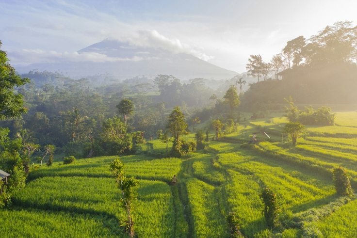 DENPASAR, BALINEWS.ID - Bali kembali mengukuhkan posisinya sebagai destinasi wisata kelas dunia dengan meraih peringkat kedua dalam penghargaan Travelers' Choi…