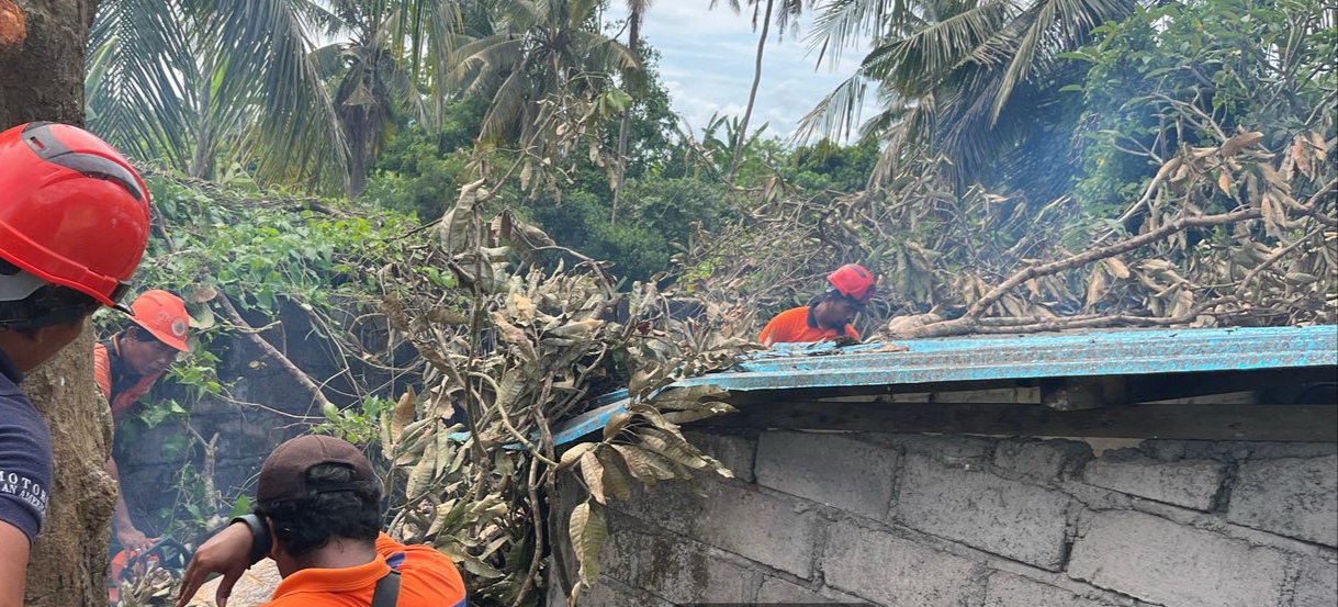 GIANYAR, BALINEWS.ID – Dahan pohon raksasa di belakang sekolah tumbang menimpa kantin SDN 3 Lebih, Kecamatan Gianyar pada Rabu (2/4). Saat kejadian tersebut, t…