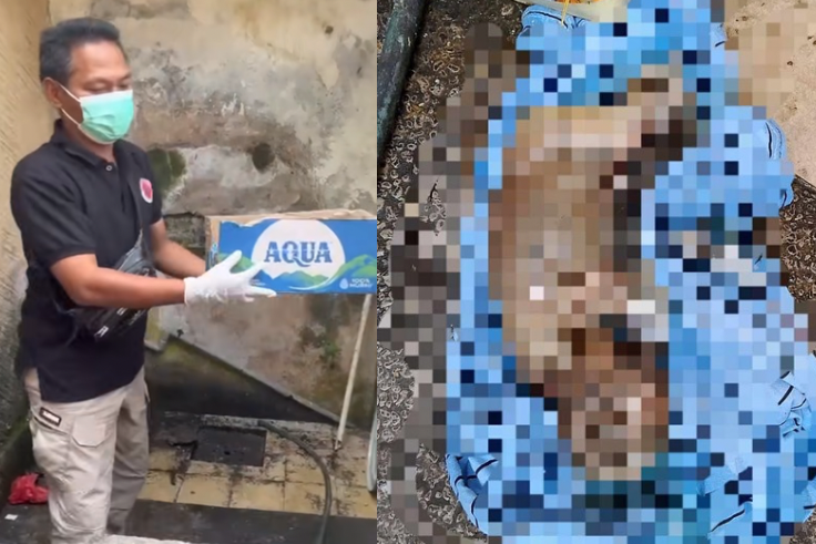 DENPASAR, BALINEWS.ID - Masyarakat Denpasar kembali diguncang oleh kasus memilukan. Sesosok jasad bayi laki-laki ditemukan di dalam pipa saluran toilet sebuah …