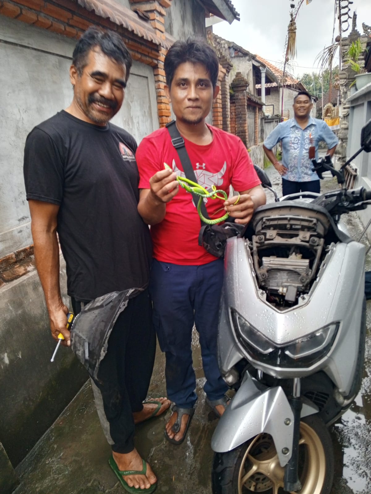 GIANYAR, BALINEWS.ID – Petugas Pemadam Kebakaran dan Penyelamatan (Damkartan) Kabupaten Gianyar bekerja ekstra pada Selasa (27/5). Sebanyak empat laporan hewan…