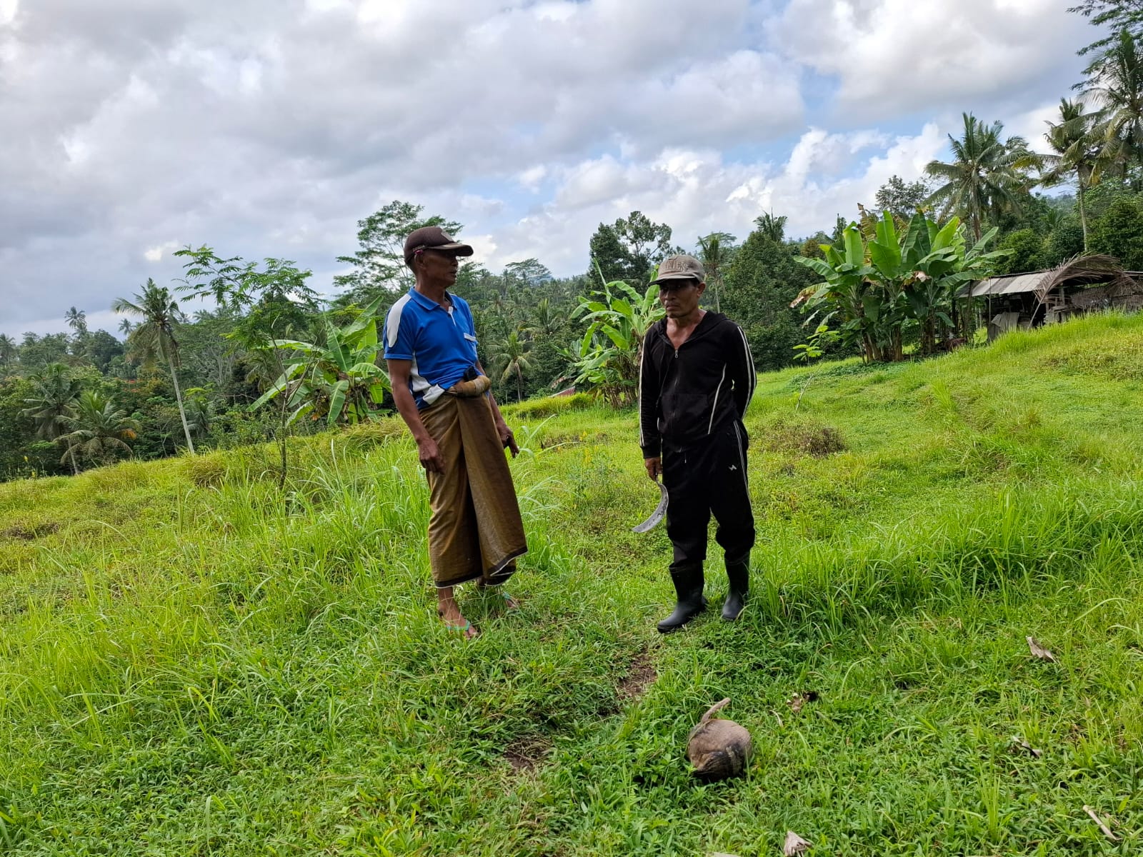 KLUNGKUNG, BALINEWS.ID – Kondisi petani di Subak Tohpati, Desa Tohpati, Kecamatan Banjarangkan, Klungkung, kian memprihatinkan. Mereka harus menghadapi kekerin…