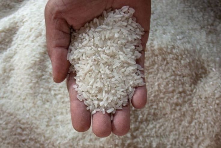 NASIONAL, BALINEWS.ID - Menteri Pertanian (Mentan) Andi Amran Sulaiman mengungkap praktik curang yang dilakukan oleh sejumlah produsen beras di Indonesia. Bers…