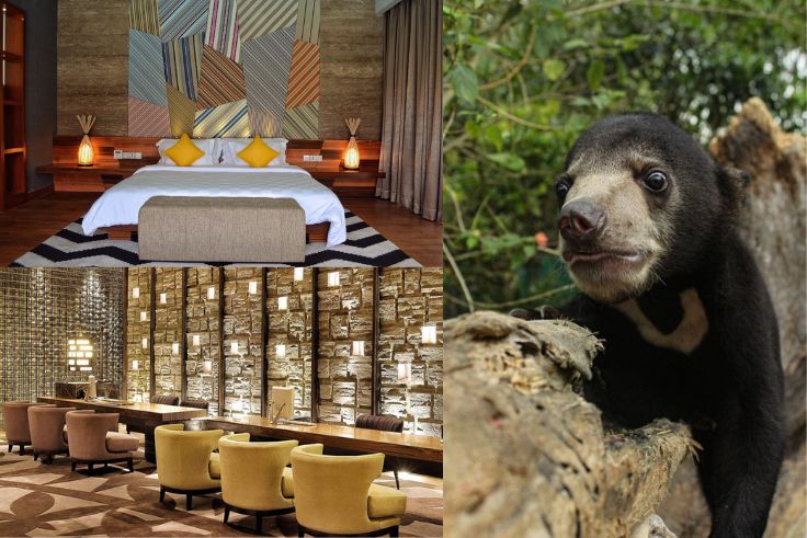 BADUNG, BALINEWS.ID - TS Suites Seminyak is marking a major milestone this month as it celebrates one year of meaningful collaboration with the Jakarta Animal …