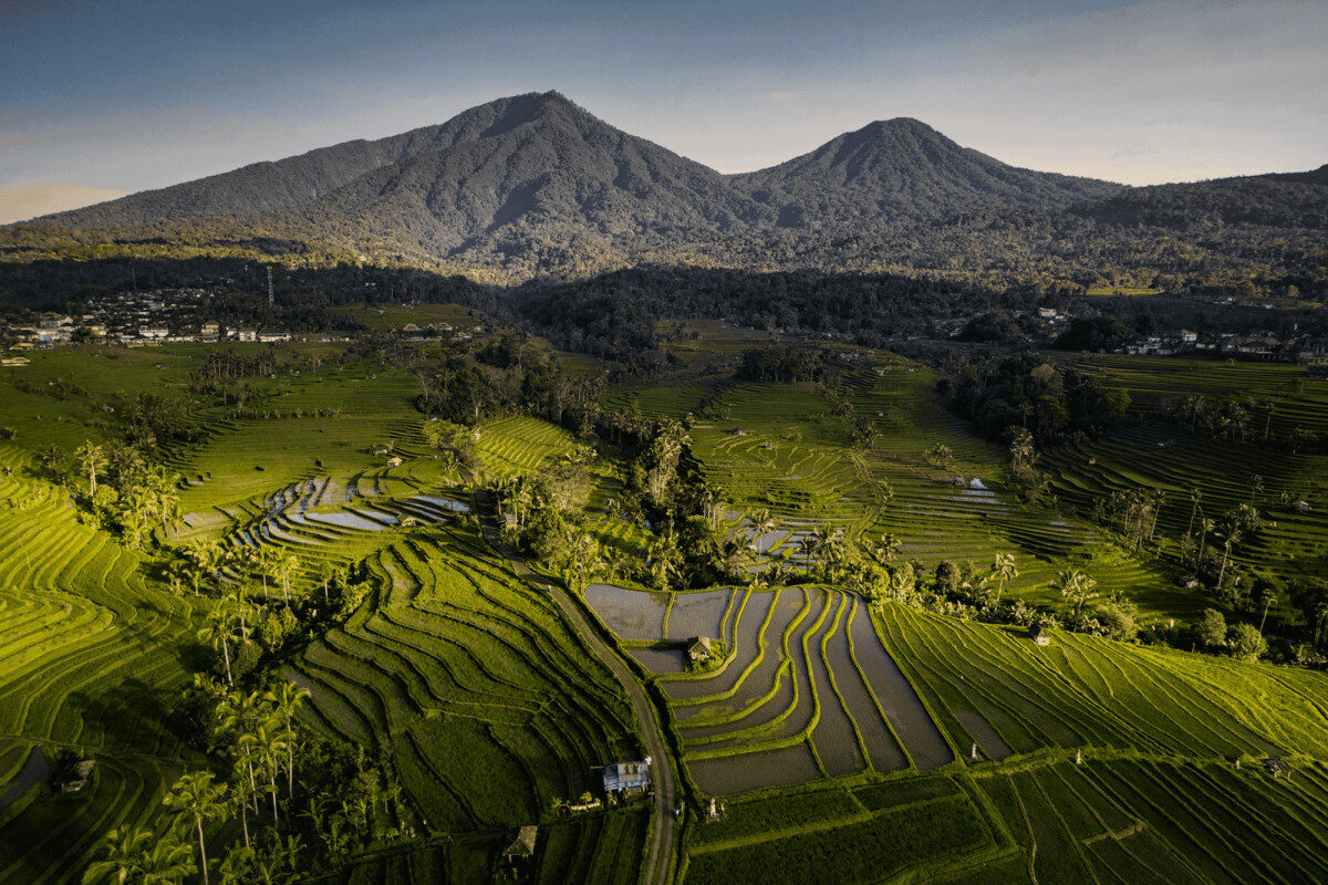 TABANAN, BALINEWS.ID - Pendapatan dari Daya Tarik Wisata (DTW) Jatiluwih, Kecamatan Penebel, telaj dibagikan secara proporsional sesuai kesepakatan yang tertua…