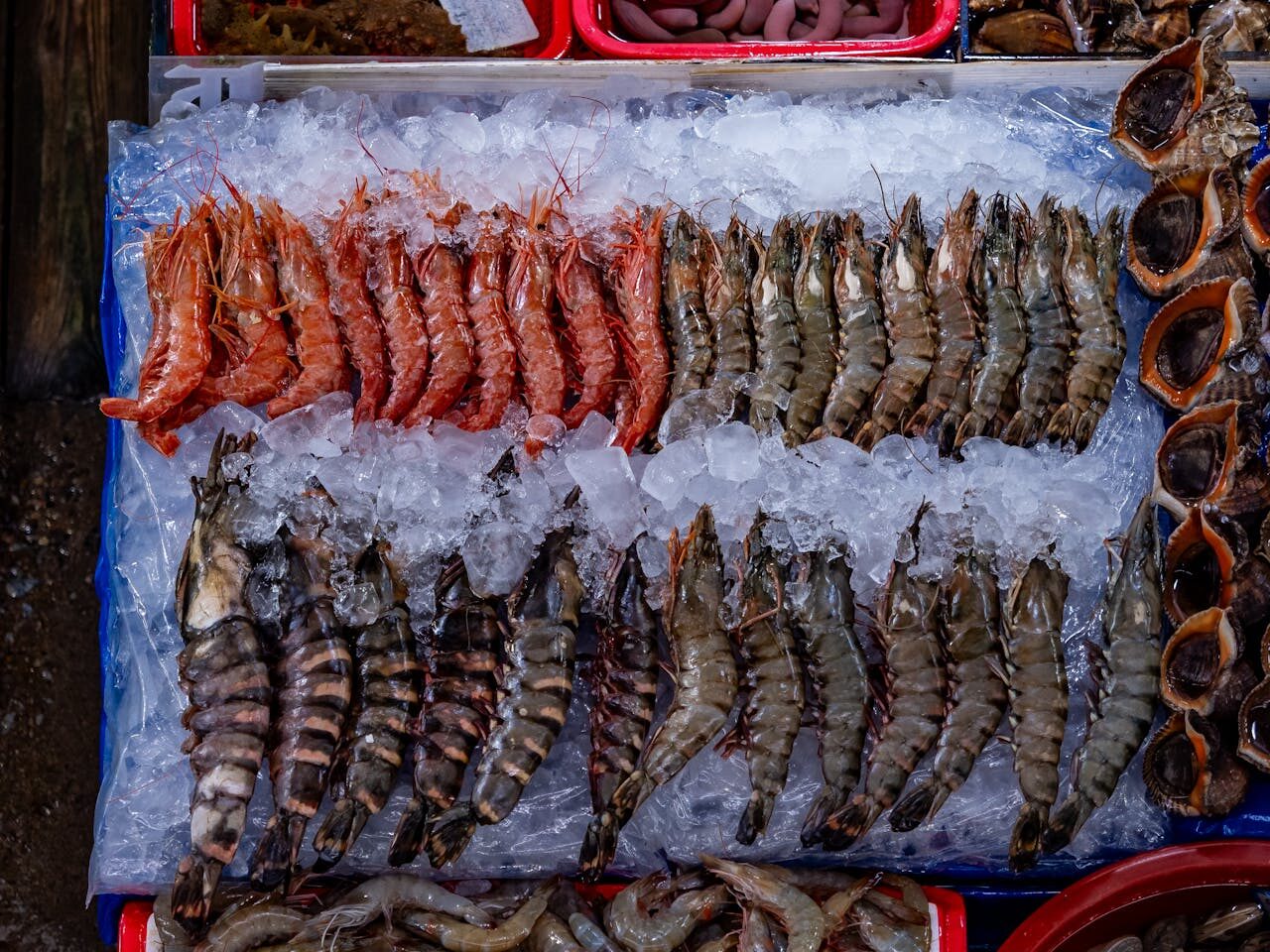 INTERNASIONAL, BALINEWS.ID - Badan Pengawas Obat dan Makanan Amerika Serikat (FDA) melarang peredaran udang beku asal Indonesia setelah ditemukan dugaan kontam…