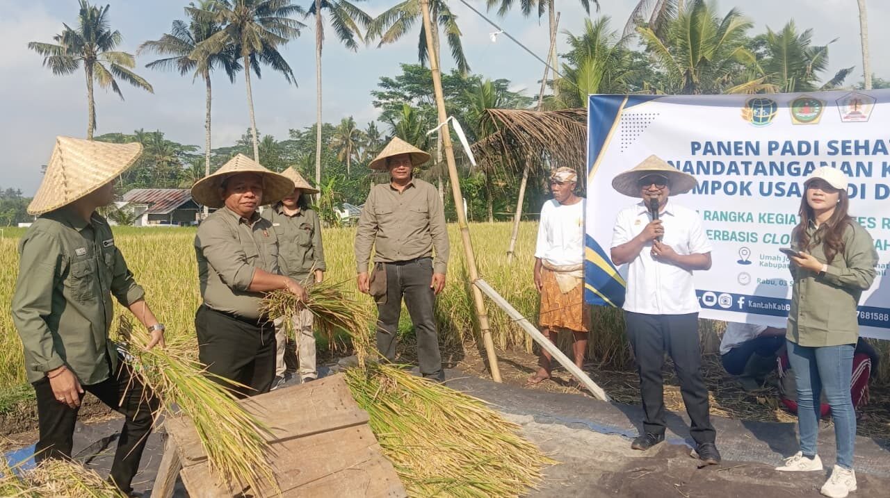 GIANYAR, BALINEWS.ID – Warga Desa Petak, Kecamatan Gianyar, menggelar panen perdana padi sehat seluas 30 hektare di Subak Gunung Jimbar. Panen ini menjadi bagi…