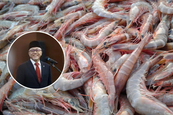 NASIONAL, BALINEWS.ID - Menteri Koordinator Bidang Pangan, Zulkifli Hasan (Zulhas), menegaskan bahwa produk udang beku Indonesia yang ditolak oleh Amerika Seri…