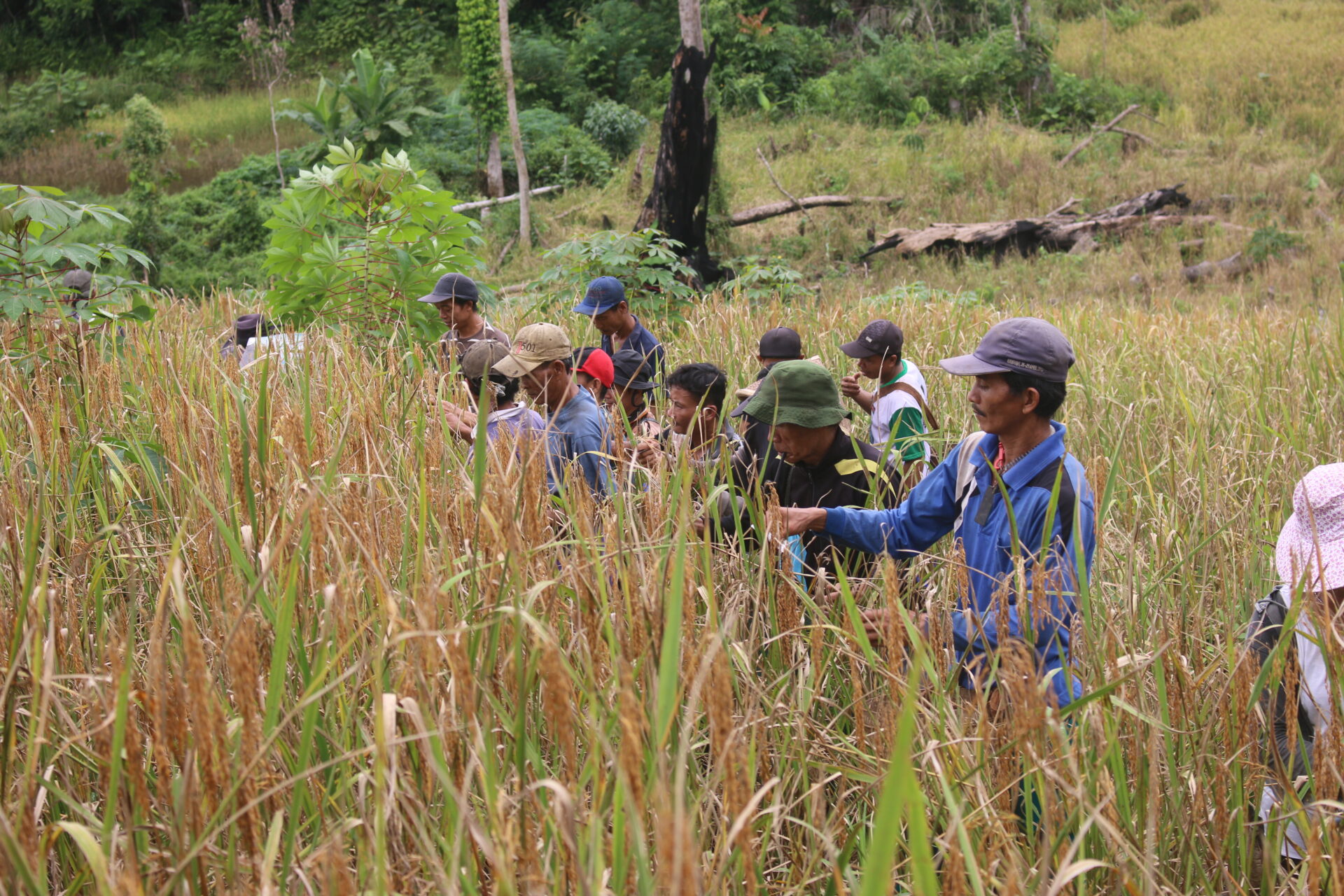 NASIONAL, BALINEWS.ID - Mahkamah Konstitusi (MK) memutuskan bahwa masyarakat adat yakni masyarakat yang hidup secara turun-temurun di dalam kawasan hutan tidak…