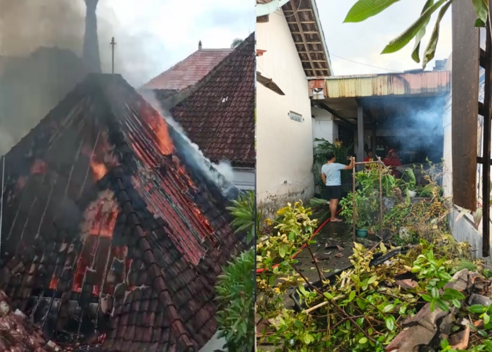 SEMARAPURA, BALINEWS.ID – Kebakaran melanda sebuah bangunan rumah di kawasan Puri Anyar Klungkung, Kelurahan Semarapura Tengah, Kecamatan Klungkung, Selasa (18…