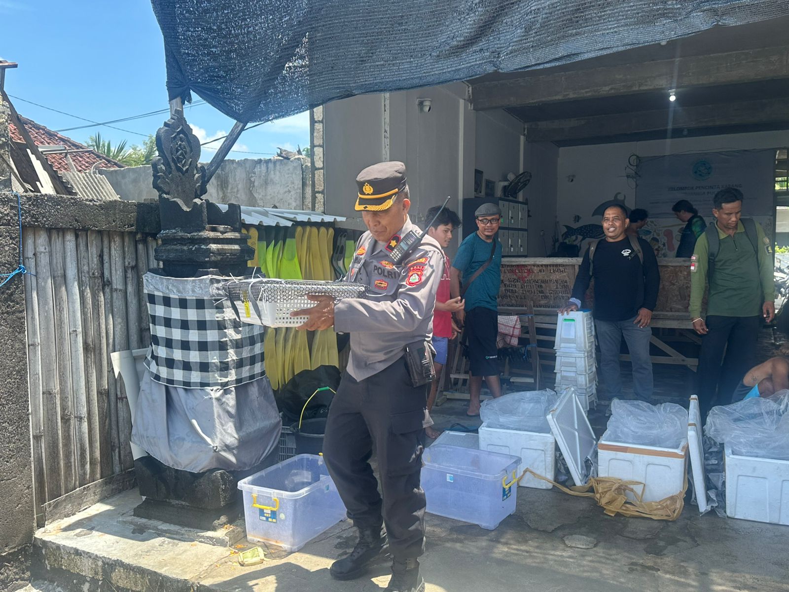   NUSA PENIDA, BALINEWS.ID – Wakapolsek Nusa Penida Kompol I Nyoman Sudana, S.H., menghadiri kegiatan pelepasan 150 ekor Kima (giant clam) di perairan Desa Ped…