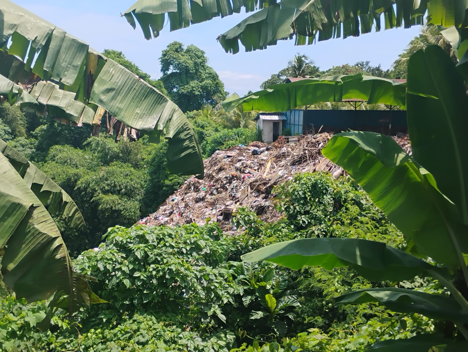 KLUNGKUNG, BALINEWS.ID - Gunung sampah nampak saat melintas di Jalan Umum Banjarangkan, Kecamatan Banjarangkan, Kabupaten Klungkung, Bali, tepatnya disebelah s…