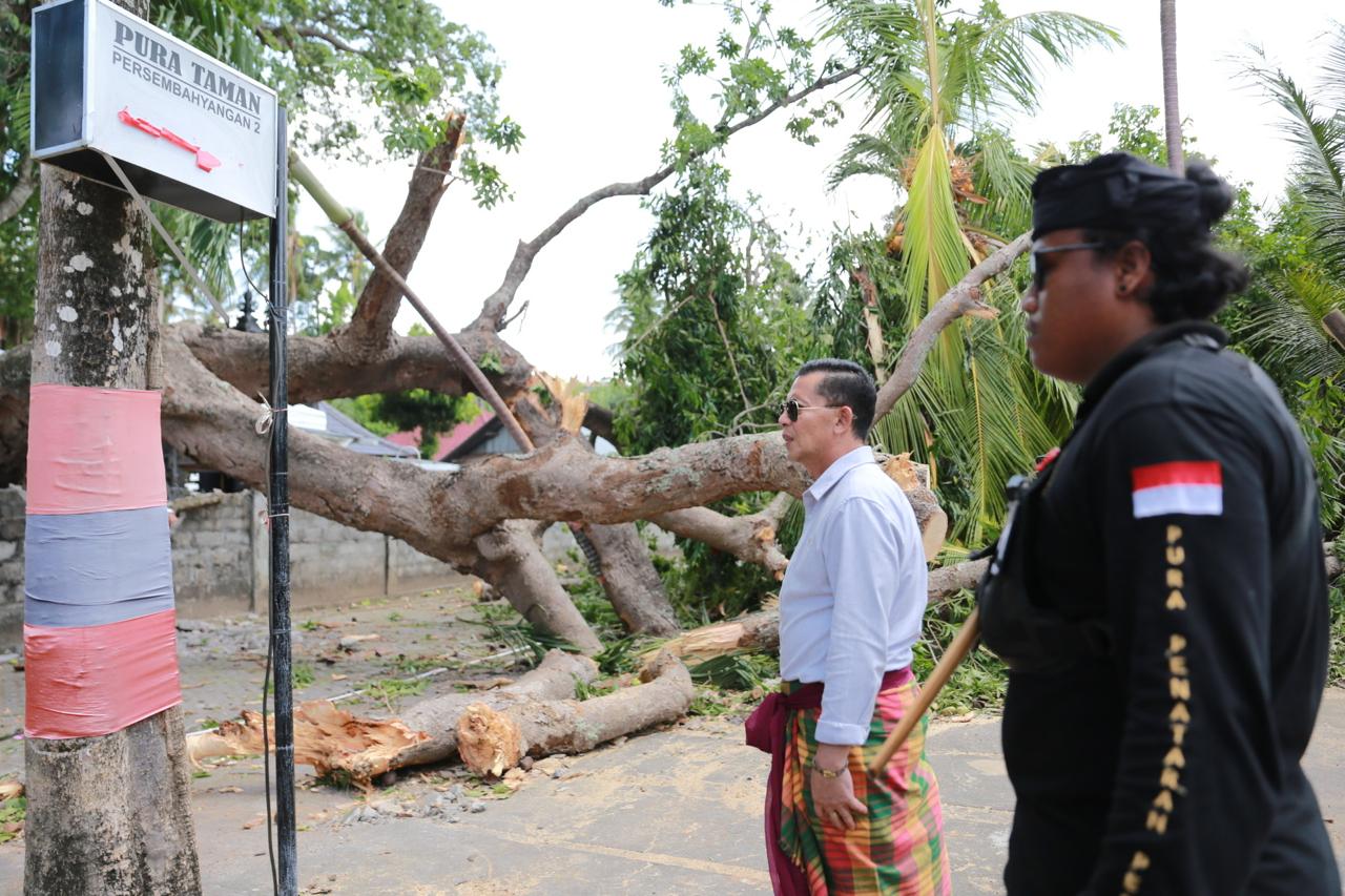 NUSA PENIDA, BALINEWS.ID – Bupati Klungkung, I Made Satria, bergerak cepat meninjau lokasi pohon besar tumbang di kawasan Pura Segara Dalem Ped, Kecamatan Nusa…