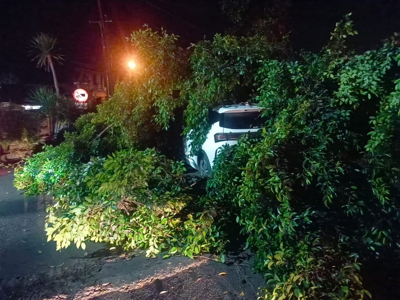 SEMARAPURA, BALINEWS.ID — Sebuah pohon beringin berukuran besar tumbang dan menimpa sebuah mobil yang tengah melintas di Simpang Empat Takmung, Kecamatan Banja…