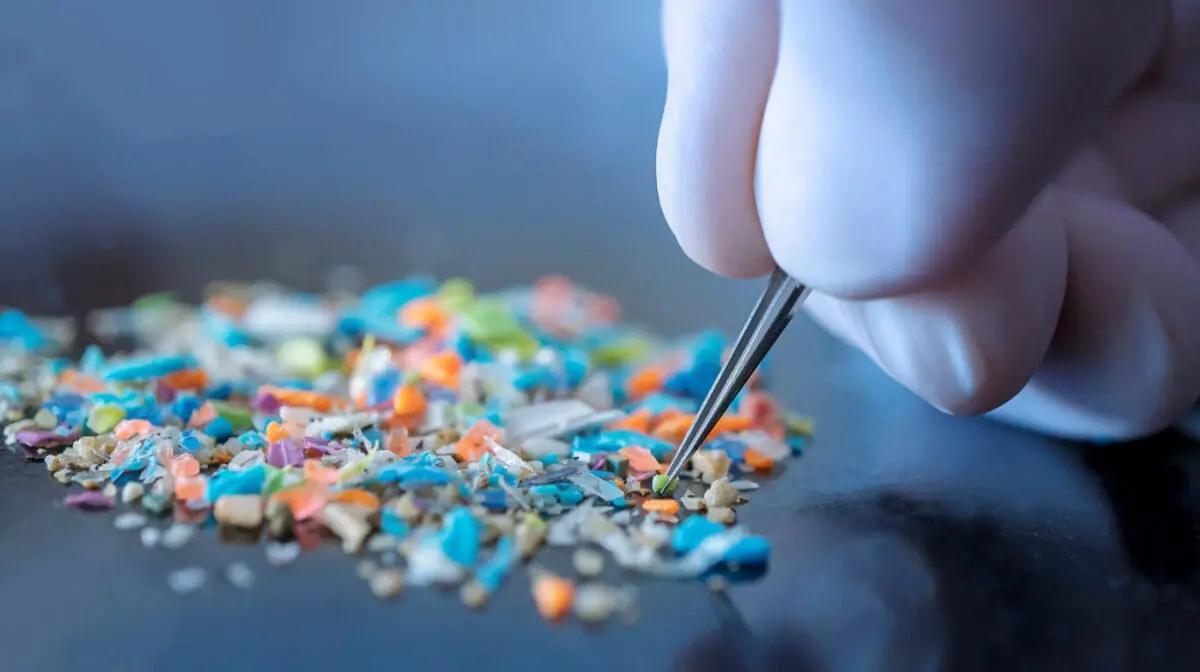 KESEHATAN, BALINEWS.ID - Mikroplastik kini bukan lagi sekadar masalah lingkungan. Penelitian terbaru menemukan partikel plastik superkecil ini sudah masuk ke t…