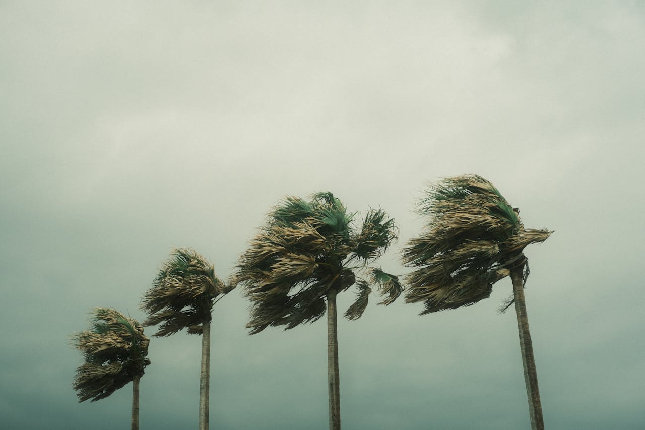 NASIONAL, BALINEWS.ID - Badan Meteorologi, Klimatologi, dan Geofisika (BMKG) mengingatkan bahwa Indonesia saat ini tengah memasuki periode peningkatan curah hu…