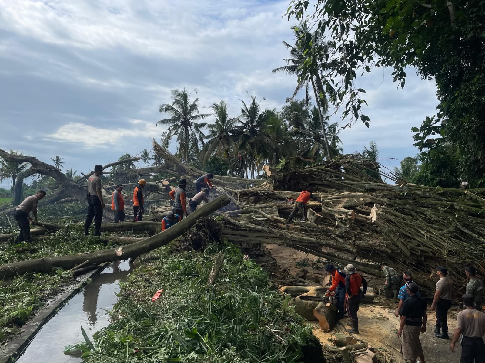 KLUNGKUNG, BALINEWS.ID – Sebuah pohon beringin berukuran besar tumbang dan menutup seluruh badan jalan di wilayah Desa Getakan, Kecamatan Banjarangkan, Kabupat…