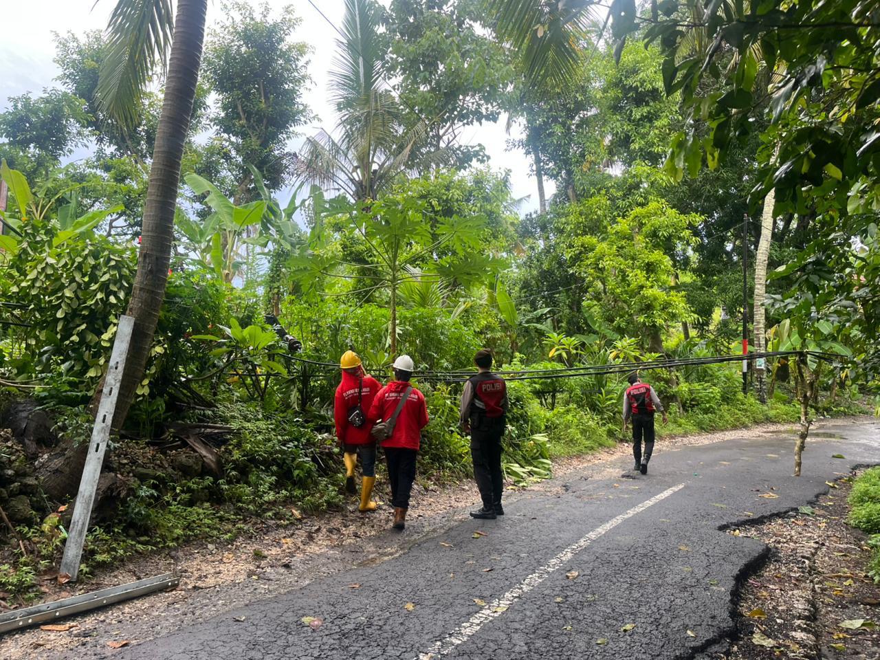 NUSA PENIDA, BALINEWS.ID – Hujan lebat disertai angin kencang yang melanda wilayah Nusa Penida menyebabkan satu tiang listrik di Jalan Raya Banjar Senangka, De…