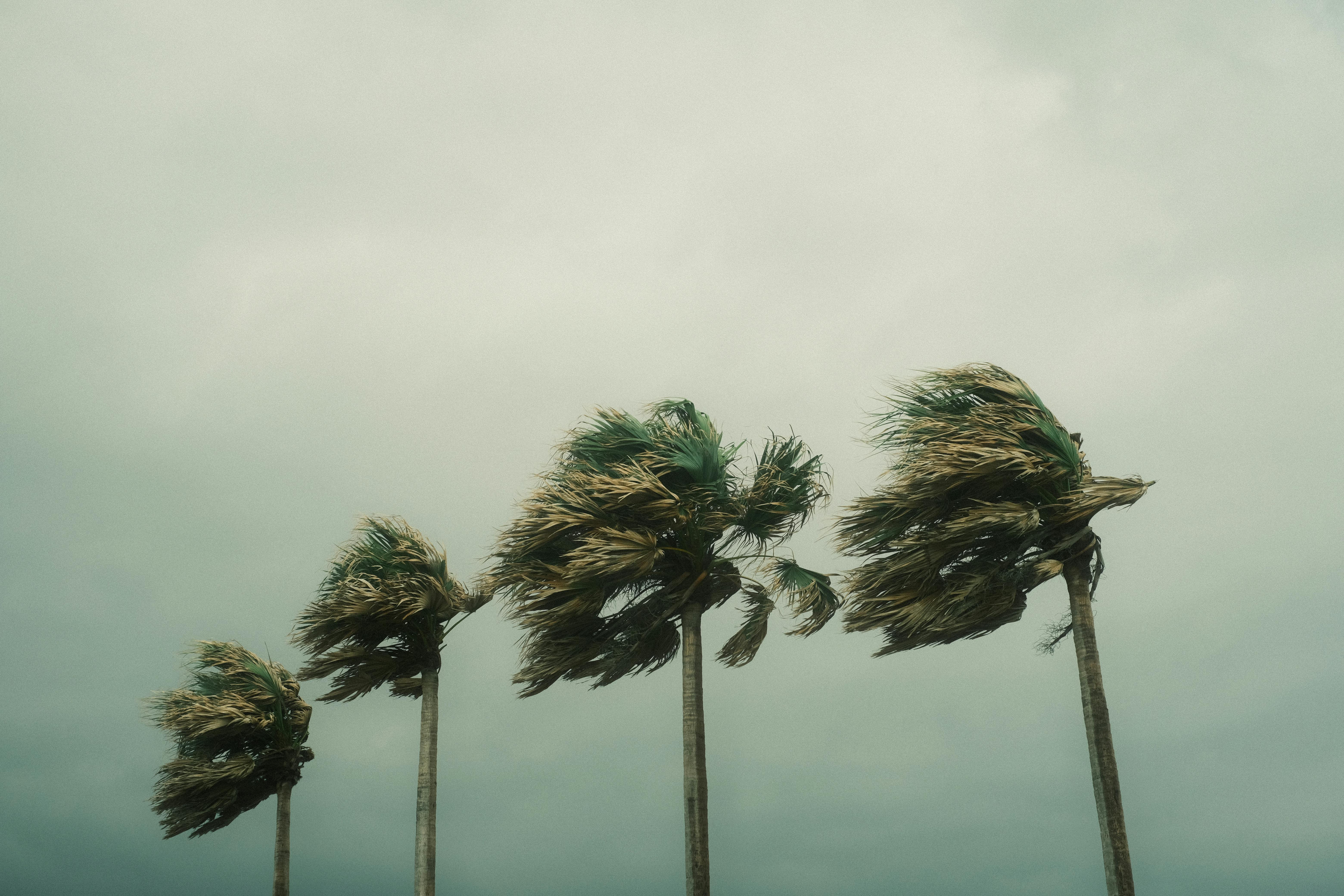 BADUNG, BALINEWS.ID - Badan Meteorologi, Klimatologi, dan Geofisika (BMKG) menjelaskan bahwa angin kencang yang melanda sejumlah wilayah di Bali, salah satunya…