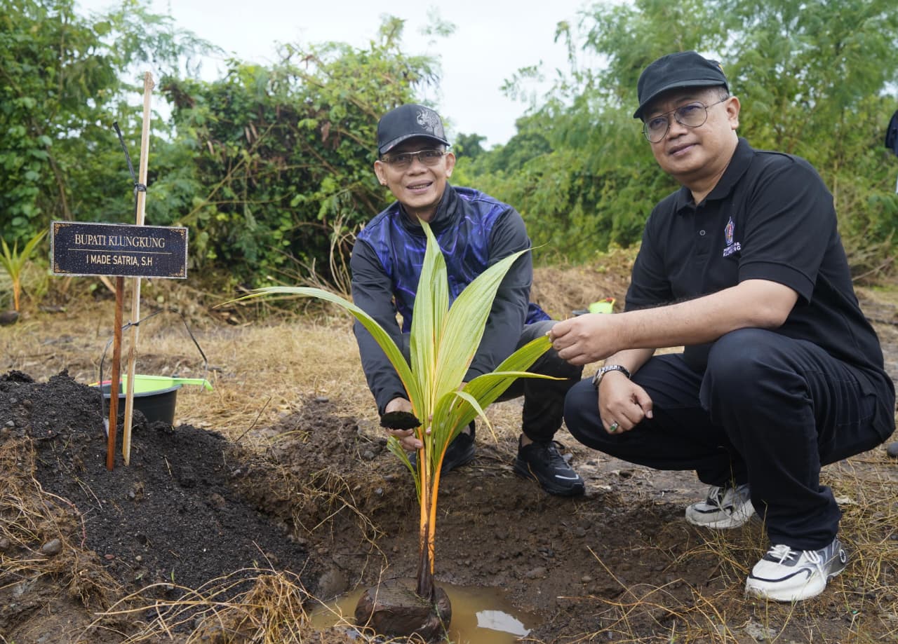 KLUNGKUNG, BALINEWS.ID – I Made Satria mendampingi I Wayan Koster memimpin aksi penanaman 1.000 bibit kelapa daksina di kawasan Embung Tulad Unda, Desa Gunaksa…