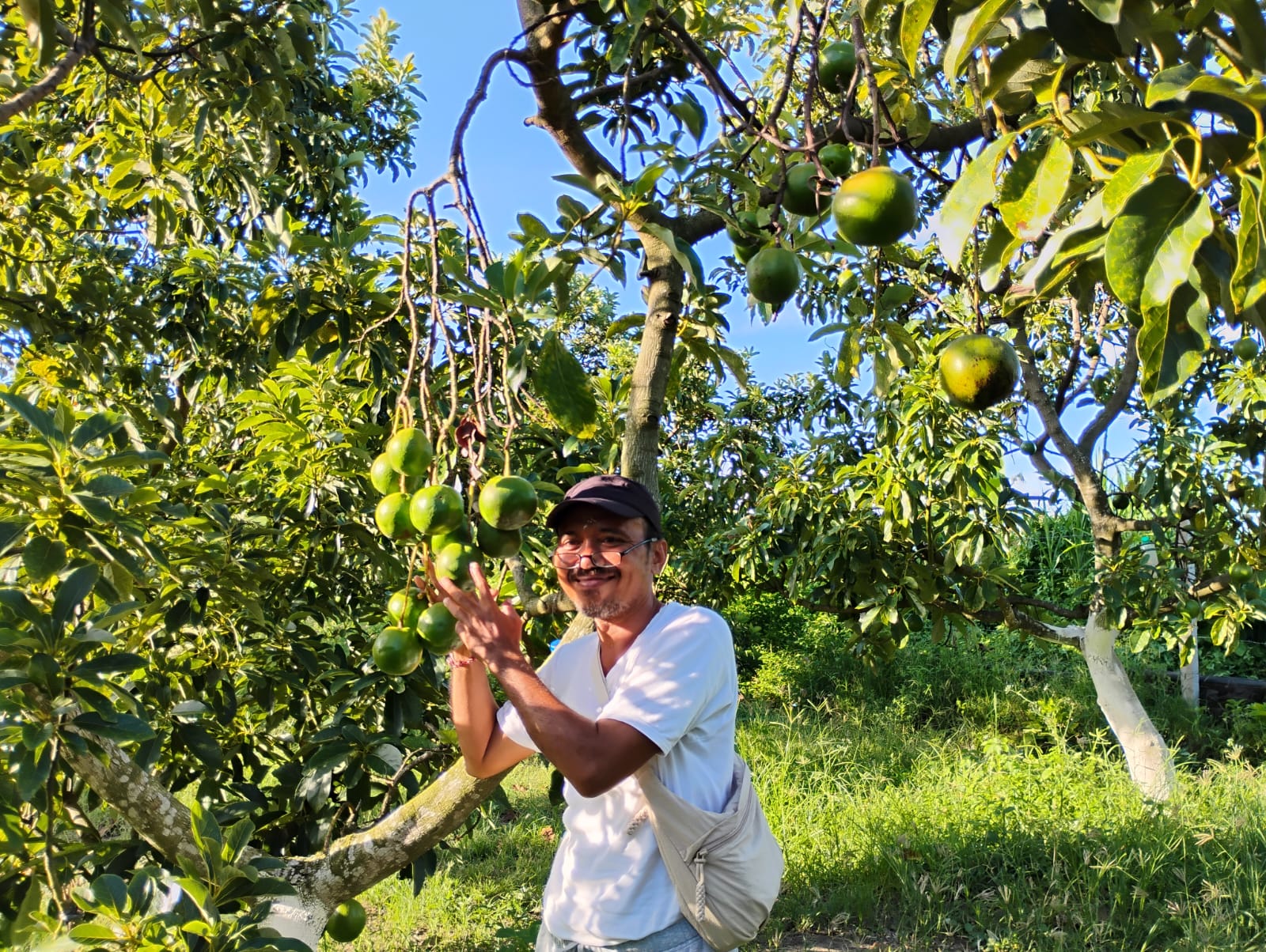 GIANYAR, BALINEWS.ID – Dari sawah ke kebun alpukat, itulah langkah yang diambil seorang petani sekaligus arsitek, Gede Wahyu Dinor, di Desa Lebih, Gianyar. Ber…
