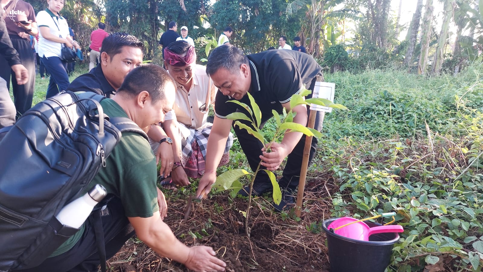 GIANYAR, BALINEWS.ID – Pemerintah Kabupaten Gianyar memperingati Hari Bumi dengan menggelar aksi penanaman pohon di setra Desa Adat Bukit Jangkrik, Kelurahan S…