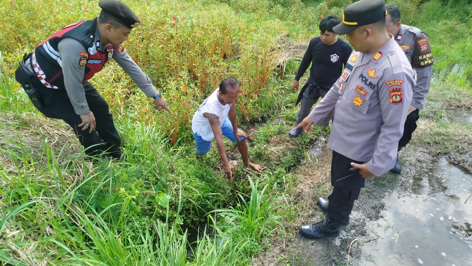 KLUNGKUNG, BALINEWS.ID – Seorang perempuan lanjut usia ditemukan meninggal dunia di area persawahan Subak Aan, Desa Tihingan, Kecamatan Banjarangkan, Kabupaten…