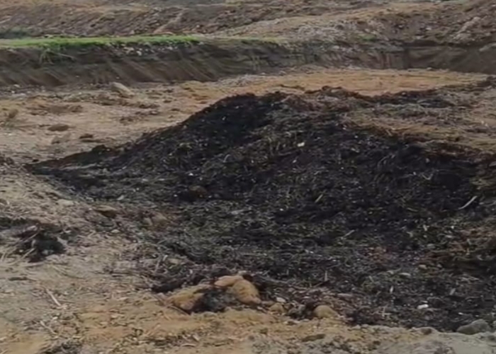 KLUNGKUNG, BALINEWS.ID – Mantan anggota DPRD Klungkung, Gde Artison Andarawata, menyoroti temuan material yang diduga mengandung sampah non organik di area PKB…