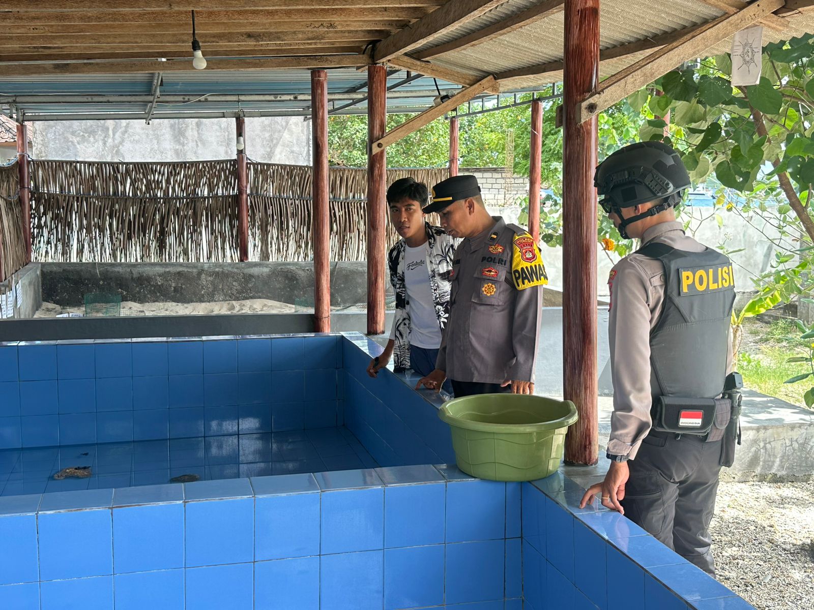 NUSA PENIDA, BALINEWS.ID – Hilangnya puluhan anak penyu atau tukik di kawasan konservasi Pantai Bias Muntig, Desa Ped, Nusa Penida, sempat menghebohkan warga d…