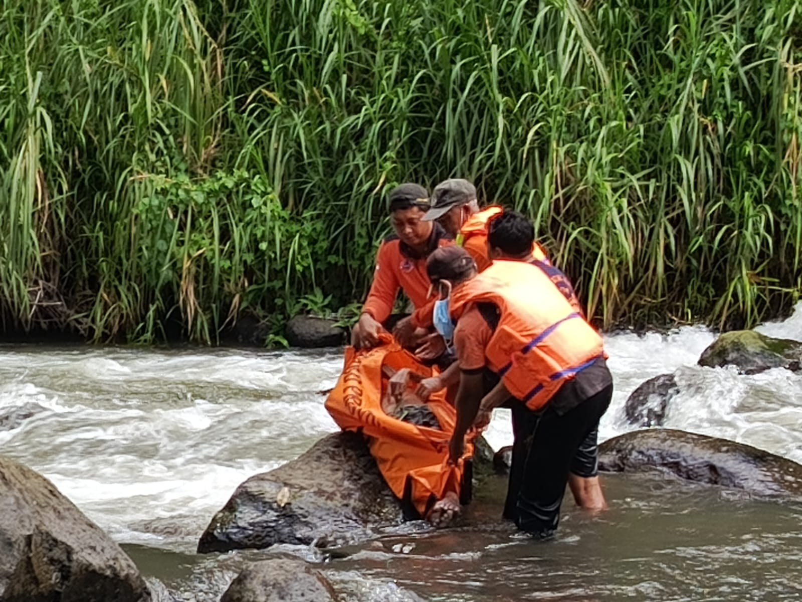 GIANYAR, BALINEWS.ID – Seorang pria tanpa identitas (Mister X) ditemukan meninggal dunia di aliran Sungai Ayung, Banjar Kedewatan, Desa Kedewatan, Kecamatan Ub…