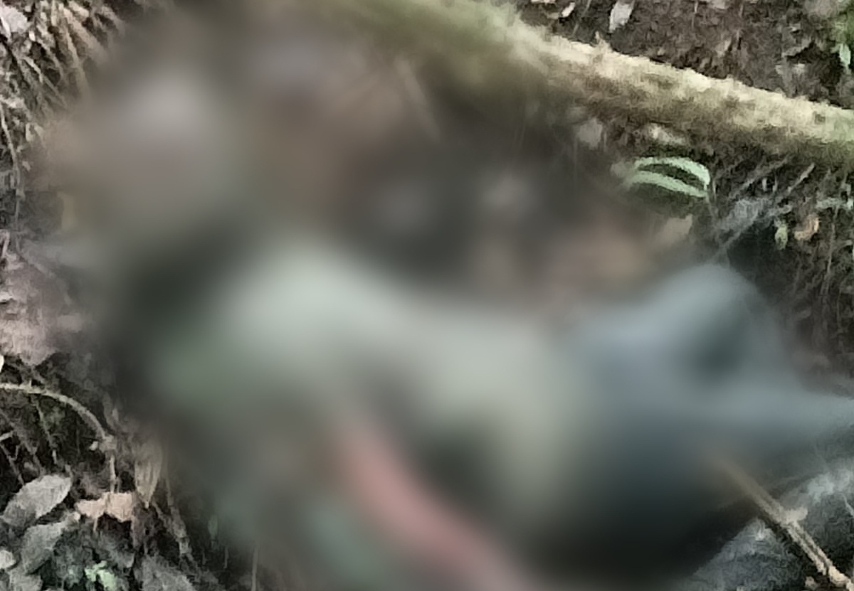TABANAN, BALINEWS.ID – Niat menghaturkan upakara di Pura Kak Resi berubah menjadi pengalaman yang menggemparkan bagi seorang warga Banjar Dinas Gunung Sari Kel…