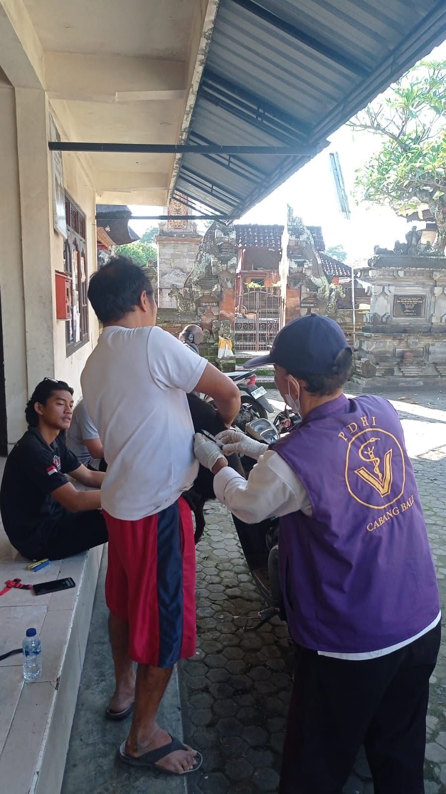 DENPASAR, BALINEWS.ID – Rencana penertiban Hewan Penular Rabies (HPR) yang berkeliaran di ruang publik Bali memunculkan dua kepentingan utama yang sama penting…
