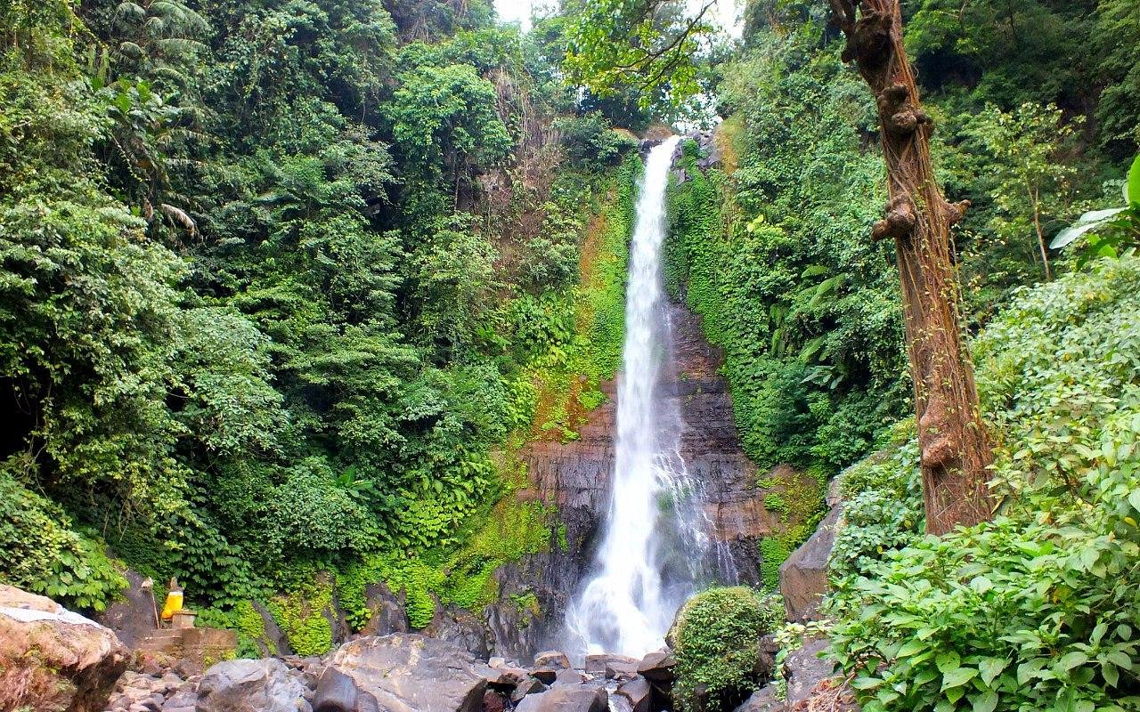 BALINEWS.ID – Ikon Wisata Alam Bali Utara yang Tak Pernah Kehilangan Pesonanya. Jauh sebelum media sosial dipenuhi foto-foto air terjun eksotis di Bali, nama …