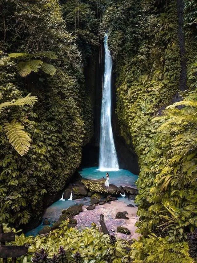 BALINEWS.ID – Hidden Gem di Tabanan yang Menawarkan Ketenangan di Tengah Hutan Tropis. Di tengah pesatnya perkembangan destinasi wisata di Bali, masih ada seju…